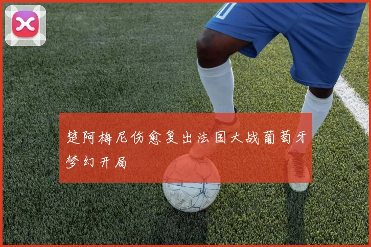 楚阿梅尼伤愈复出法国大战葡萄牙梦幻开局