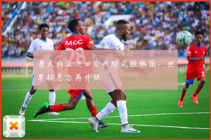 澳大利亚次回合两球完胜韩国，世界杯悬念再升级