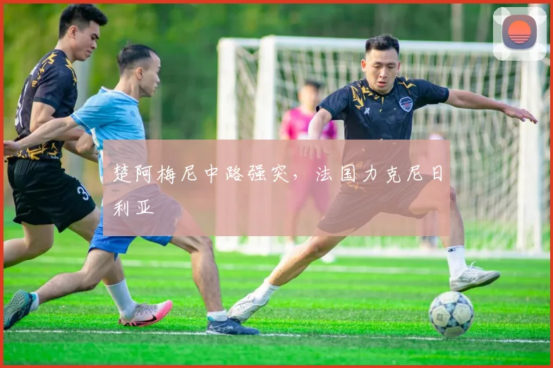 楚阿梅尼中路强突，法国力克尼日利亚
