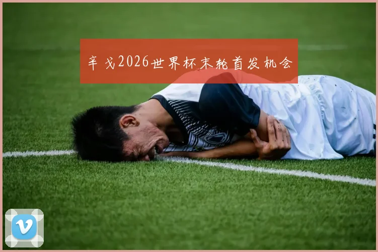 辛戈2026世界杯末轮首发机会