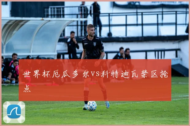世界杯厄瓜多尔vs科特迪瓦禁区抢点
