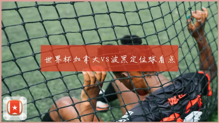 世界杯加拿大vs波黑定位球看点